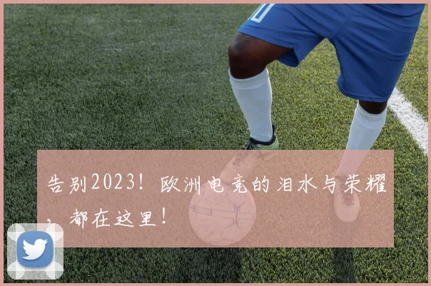 告别2023！欧洲电竞的泪水与荣耀，都在这里！